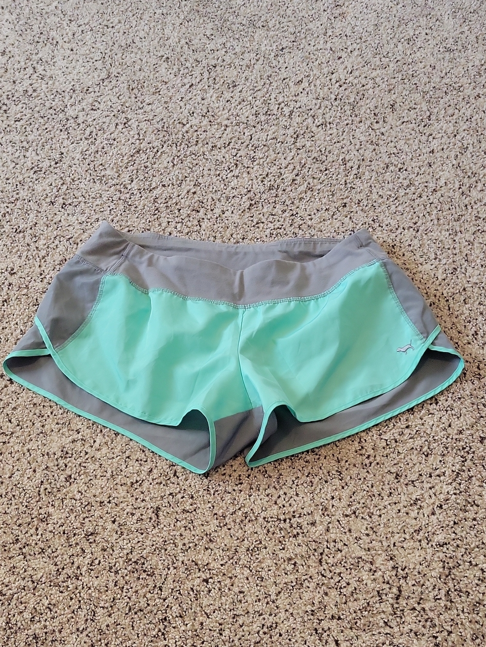 Victoria's Secret Pink Mint and Gray Shorts